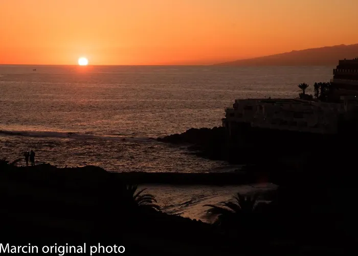 Tenerife Lizards - Duplex In The First Line
